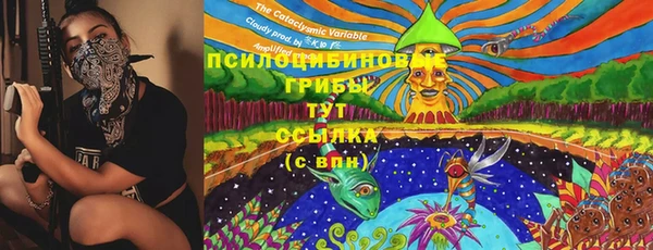 Альфа ПВП Богородицк