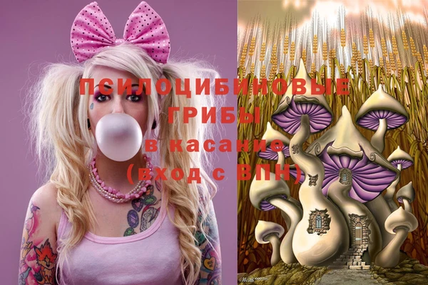 прущий лед Богородск