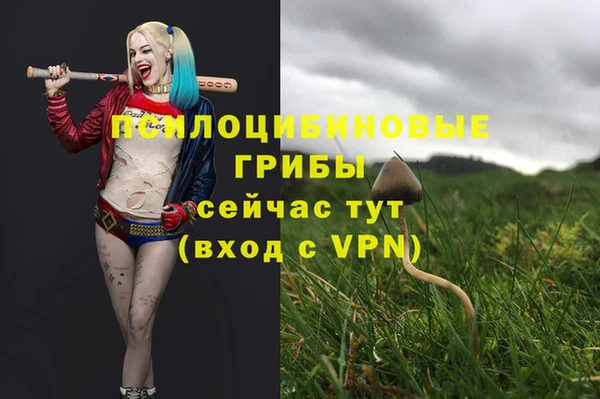 прущий лед Богородск
