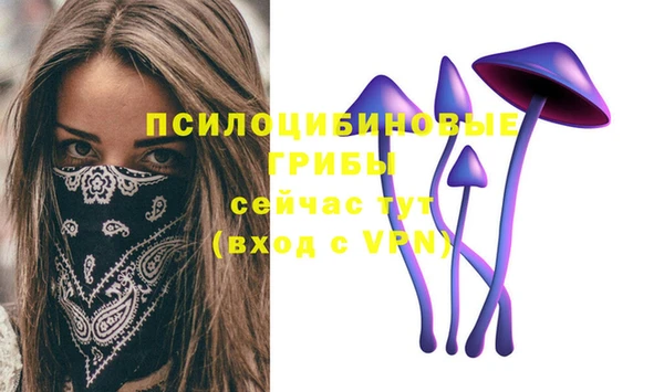 экстази Богданович
