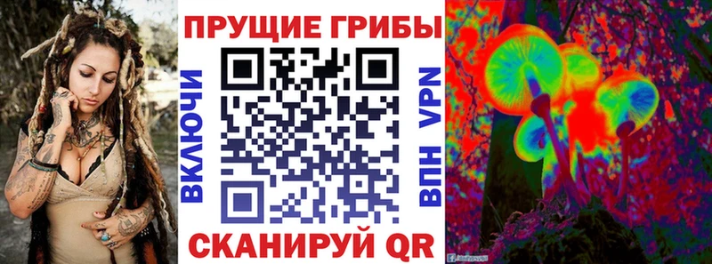 shop как зайти  Котельники  Галлюциногенные грибы MAGIC MUSHROOMS  купить наркотики цена 